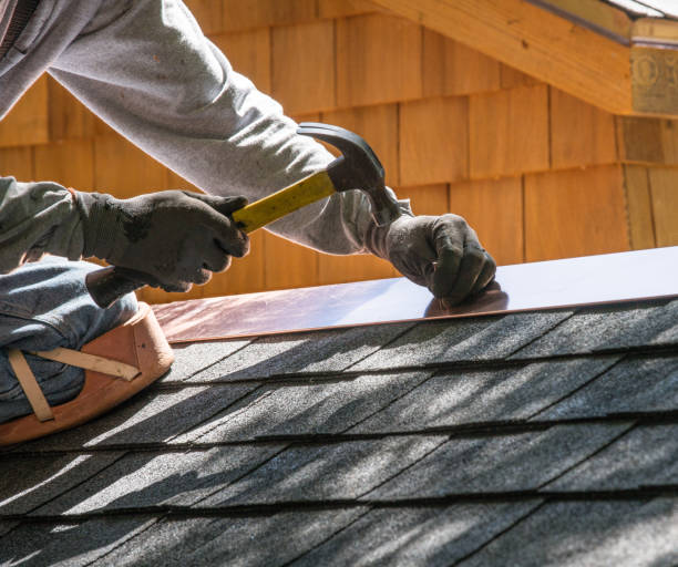 Best Roof Leak Repair  in Kasson, MN